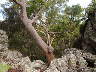 P1102831a.jpg